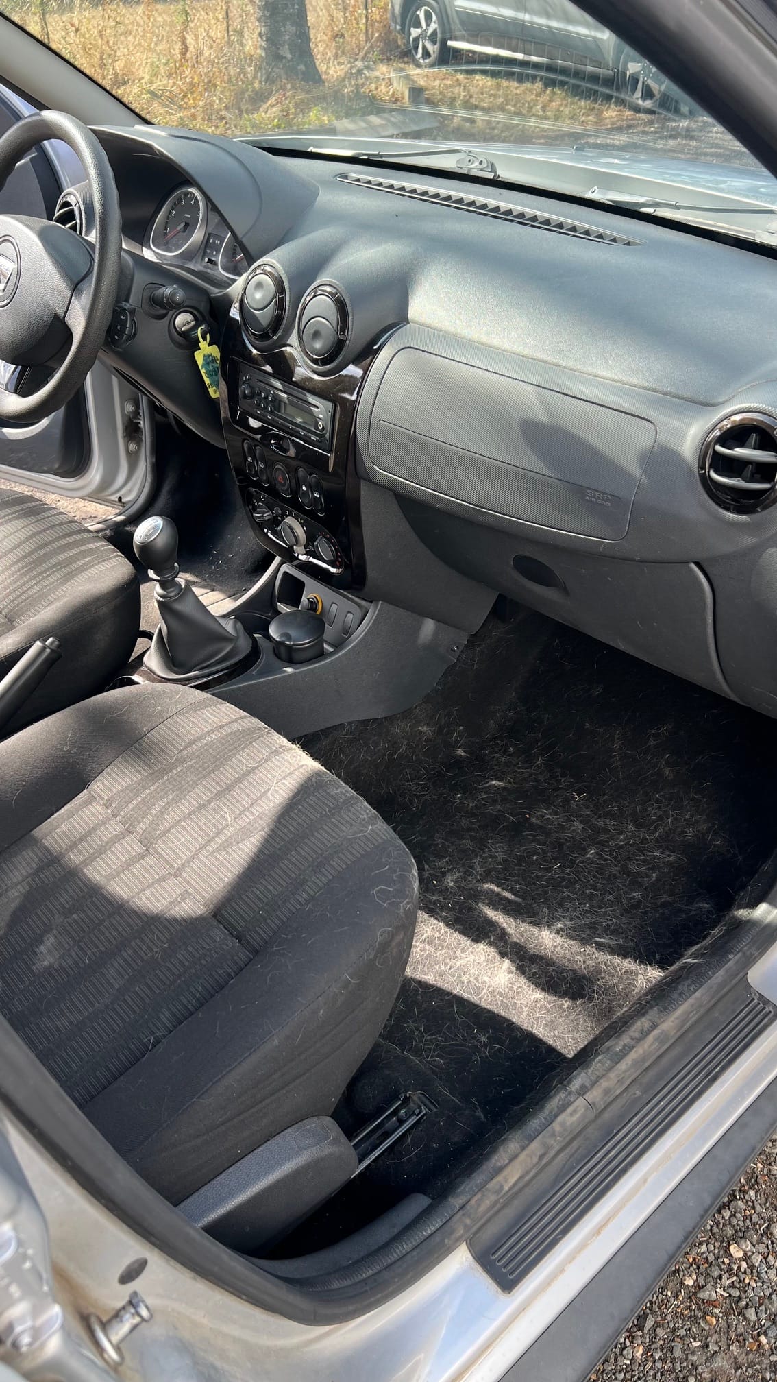 Avant nettoyage : plancher et sièges d'une Dacia couverts de poils d'animaux